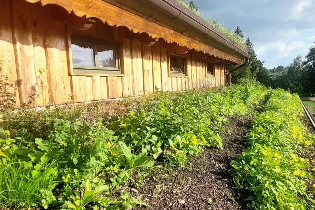 CHALET BORŮVKA - biofarma na samotě v lesích Benesov (Blansko) Exterior foto