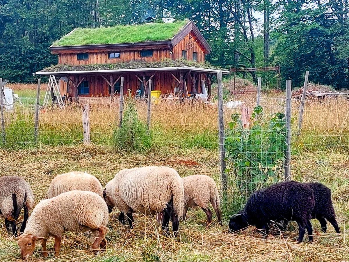 CHALET BORŮVKA - biofarma na samotě v lesích Benesov (Blansko) Exterior foto