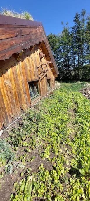 CHALET BORŮVKA - biofarma na samotě v lesích Benesov (Blansko) Exterior foto