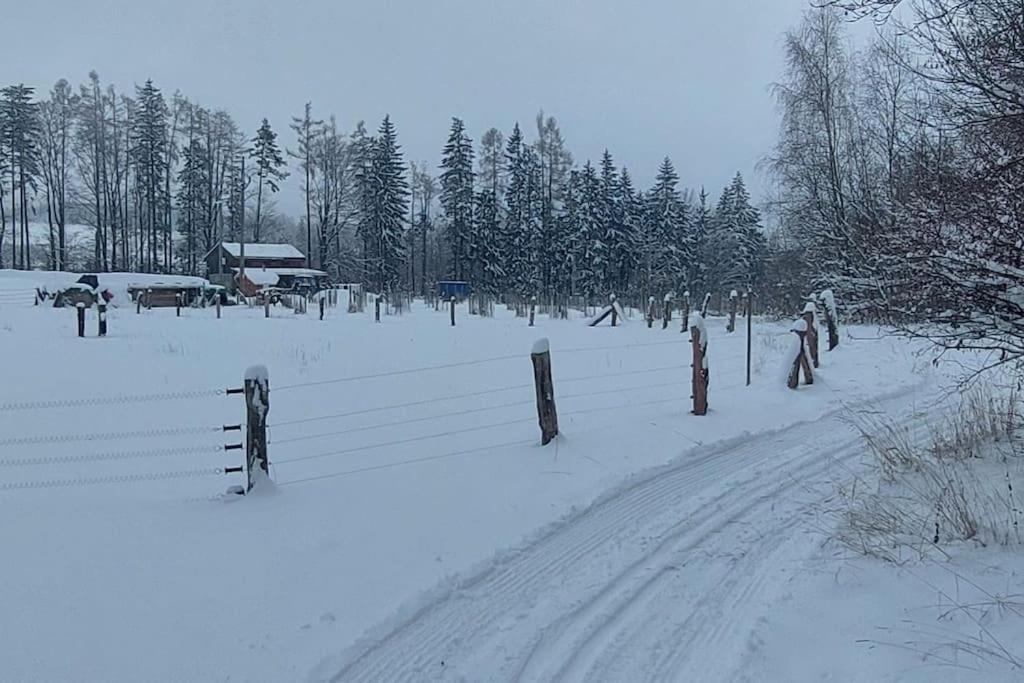 CHALET BORŮVKA - biofarma na samotě v lesích Benesov (Blansko) Exterior foto