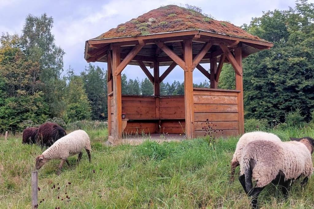 CHALET BORŮVKA - biofarma na samotě v lesích Benesov (Blansko) Exterior foto